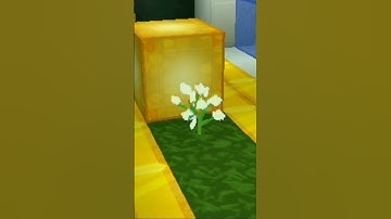 Noob Become Null To After Get Bully Blockman Go Amv Story