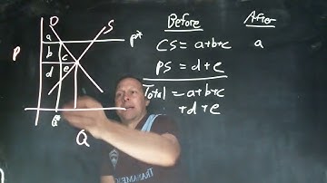 Welfare effects of a minimum wage