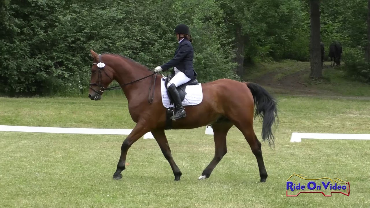 horseshoe bend 232D Laura Holloway on Killeenduff Flame Novice Rider Dressage Aspen Farms June 2019