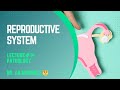 Reproductive System Lecture# 14 Pathology