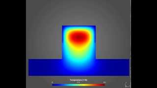 Coupled thermo-mechanical modeling of stage construction of concrete wall