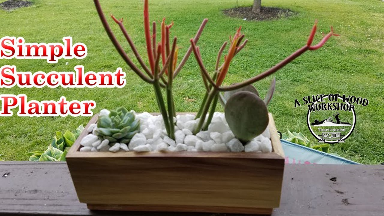 How to Make A Simple Succulent Planter - YouTube