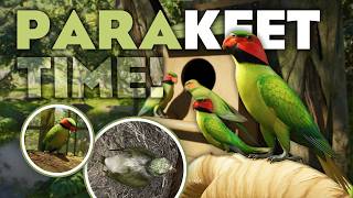 🦜 Meet the Keet! | Long-Tailed Parakeet Reveal | Planet Zoo 2