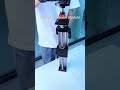 Ball Screw Linear Module | High-Precision Motion for Industrial Automation