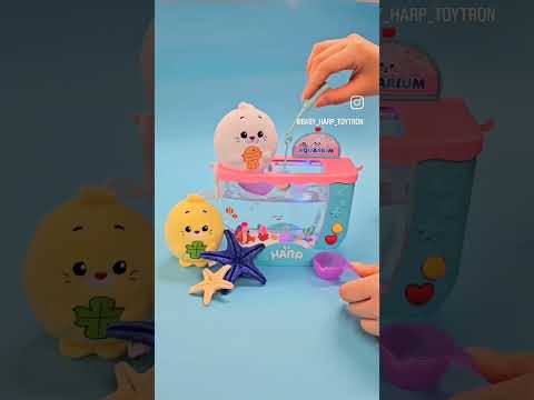 하프의 <strong>아쿠아리움</strong>