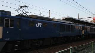 2019/11/16 8865レ EF64-1024+EF64-1023(無動力)+コキ 茨木駅