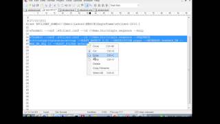 enginframe webservices demo
