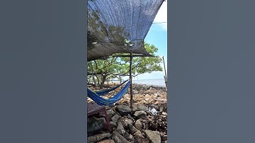 ngắm biển rạch bùn Gò Công Tiền Giang 2025