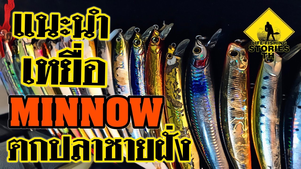 แนะนำเหยื่อปลอม ดำน้ำ ตกปลา สาก/กะพง ชายฝั่ง   Minnow/Plug lure :[ LFSTตีเหยื่อปลอมชายฝั่ง 22 ]