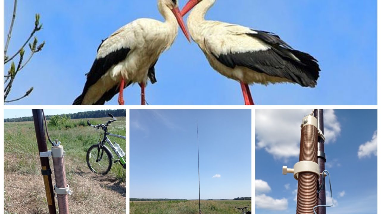 Радиосвязь на КВ в поле. Вертикал на удочке с удлиняющей катушкой ...