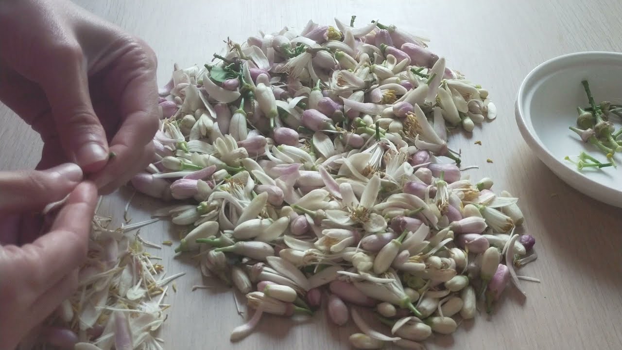 orange blossom stuffed cookies eggless 🍊 yammy. مربى الزهر - معمول زهر الليمون بدون بيض- 오렌지 나무 꽃 쿠키