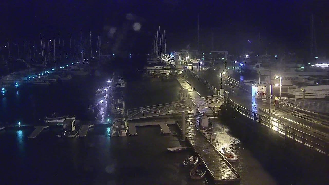 Port of Friday Harbor Marina Live Stream