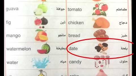 كونكت بلس أولى ابتدائي/الوحدة التاسعة/الدرس الأول والثانى/connect plus 1 unit 9 lessons 1&2