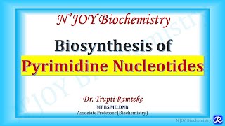 Pyrimidine Biosynthesis | Nucleotide Metabolism | Biochemistry | N'JOY Biochemistry