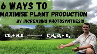 How to maximise plant production by increasing photosynthesis