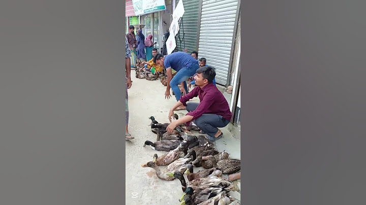 He became a saint with a duck.