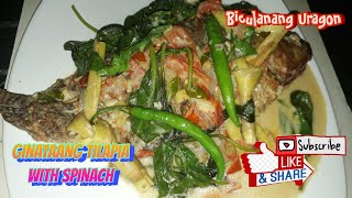 Ginataang Tilapia with Spinach | Biculanang Uragon