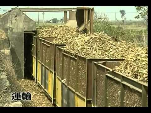 台糖公司虎尾糖廠簡介及製糖過程2