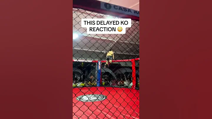The delayed reaction 😳 (via AlphaWolfTeam/TT, guifo14/IG) - 天天要聞
