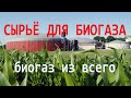 Биогаз из всего что есть (трава, навоз, мусор и т.д.)