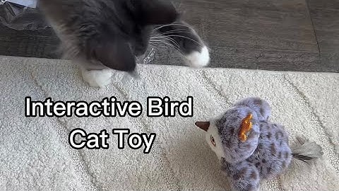 Interactive Chirping and Flapping Bird Cat Toy