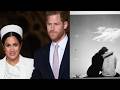 Le prince Harry s'exprime après la polémique suscitée par une photo non recadrée de Meghan Markle