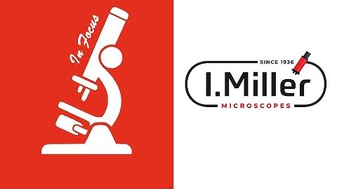 IN FOCUS     OSD For 4K Camera In HDMI Mode