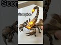 Snake to Robot Transformation 🐍🤖 | AI Generated Short #aivideo #youtubeshorts #pixarstyle #animation