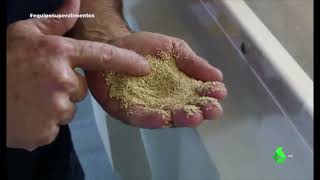 Quinoa 22/11/2019 "Equipo de Investigación" "Superalimentos"