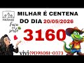PALPITES PARA O DIA 20 DE MAIO DE 2026