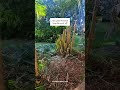 A few quiet moments from this week 🌿
