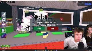 Download Lagu SELLING STEAK'S STRAWBERRY ELEPHANT 😈 MP3 Download Lagu SELLING STEAK'S STRAWBERRY ELEPHANT 😈 MP3