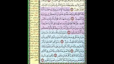 الصّفحة الثّانية من سورة لقمان صفحة (412) من القرآن الكريم،  قراءة: شريف كاظم السّيوريّ - رواية حفص