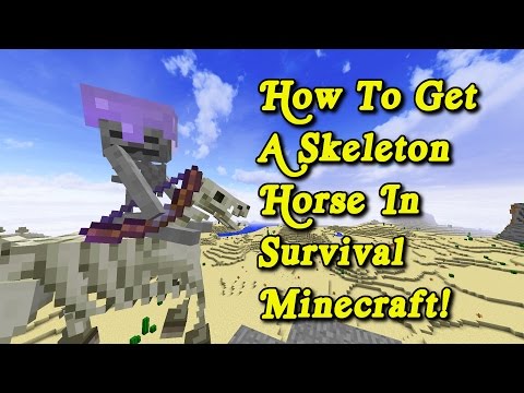 minecraft-tutorial---how-to-get-a-skeleton-horse-in-survival-minecraft!