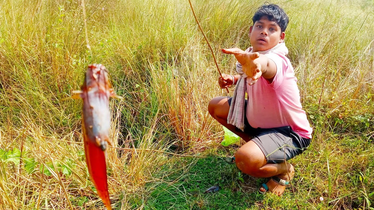 Traditional Odia Hook fishingA Boy catch a Big & small cat 🐟 fish