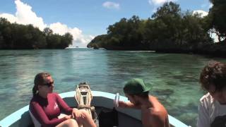 Preview:  THE PALAU EXPEDITION