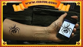 Фокус - моментальная татуировка из любой картинки by Международное сообщество артистов цирка 4,136 views 5 years ago 1 minute, 10 seconds