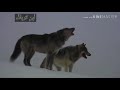 سهام البلضهر سهام صحباني جديد يفوتك 
