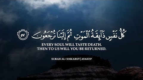 يا الله على هذا الصوت 🥺❤️ تلاوة القرآن الكريم بصوت جميل جدا