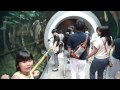 滋賀県立琵琶湖博物館　すごく良いです。その１ の動画、YouTube動画。