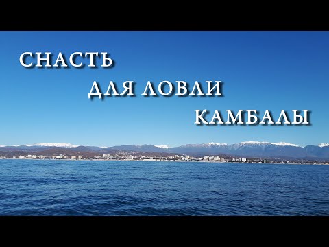 Снасть для ловли камбалы