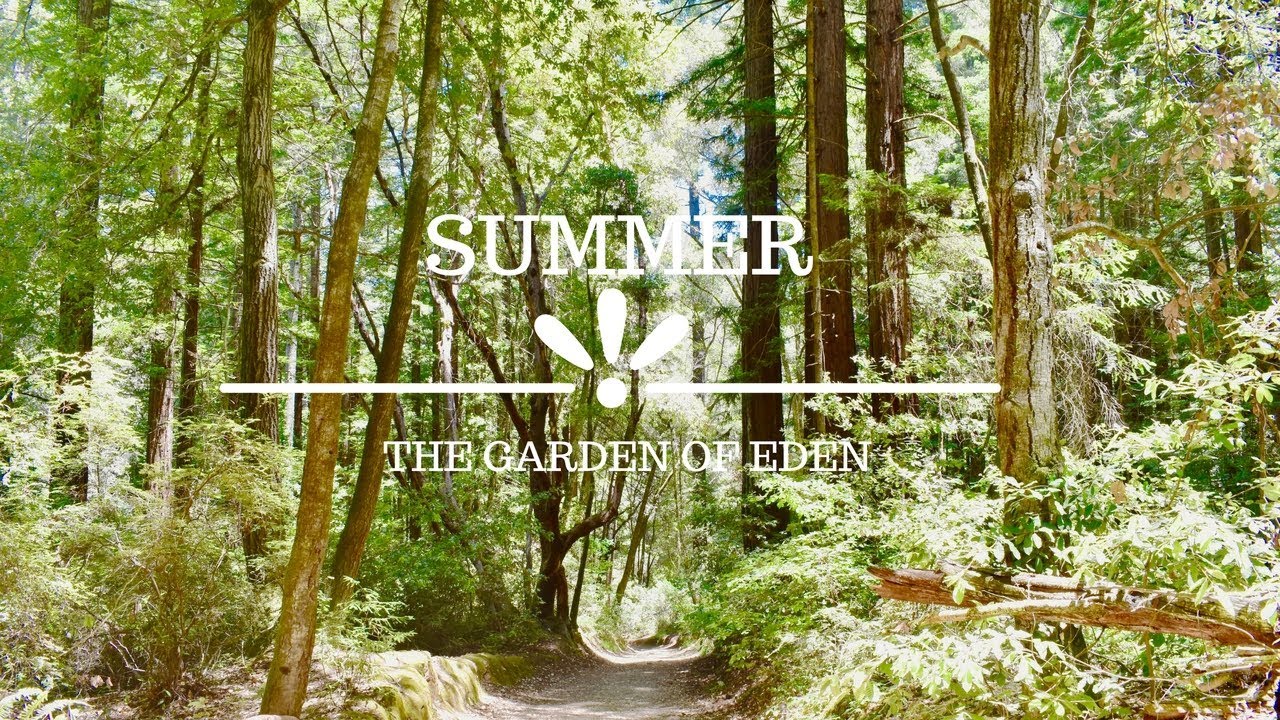 Summer Adventures 2018 Garden Of Eden Santa Cruz Youtube