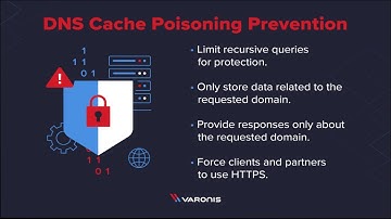 How Hackers Spoof DNS: Techniques and Protection Strategies Explained