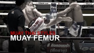 Muay Thai Fighting Styles Part 2 - Muay Femur (Technical Fighter)