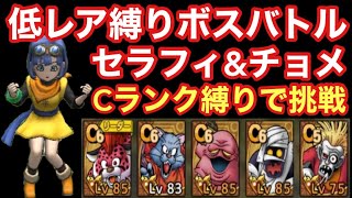 【ドラゴンクエストタクト】低レア縛りボスバトル！セラフィ&チョメをCランク縛りで攻略に挑む‼︎