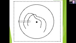 EXP3204 Event Perception Part 3