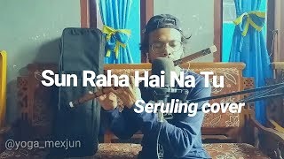 Sun Raha Hai Na Tu Aashiqui2 - Seruling Cover (Dizi Flute)