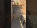 Insane Mid Doors Smoke From Spawn On Dust 2 #shorts #cs2
