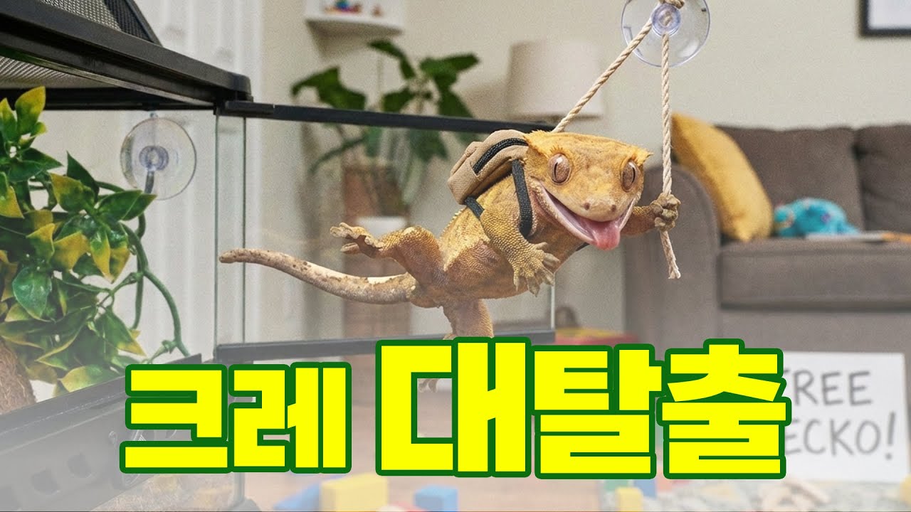 탈출한 크레 찾는 방법