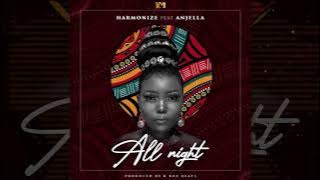 Harmonize Ft Anjella - All Night 